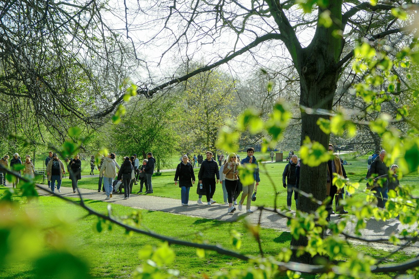 Persone che camminano su un sentiero lastricato in un parco pubblico.