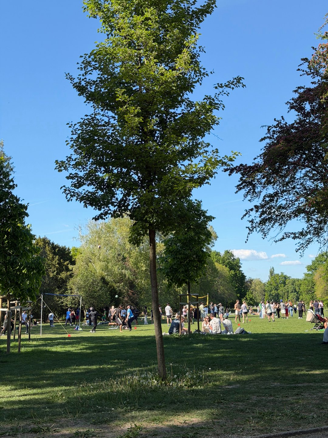 Persone che giocano a calcio e socializzano in un parco soleggiato.